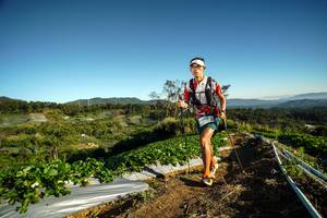 BIB: 116
                            <button type="button" onclick="openModal(19114074)" class="btn btn-primary btn-sm float-right btn-popup" data-toggle="modal" data-target=".modal-high-quality">
                        <i class="fas fa-shopping-cart"></i> Add to Cart
                    </button>
                                            <button type="button" onclick="isThisMe(19114074, true)" class="btn btn-success btn-sm float-right btn-popup btn-isme hidden" data-toggle="tooltip" data-placement="bottom" title="นี่คือรูปของคุณใช่ไหม คลิกที่นี่เพื่อเอาเข้าอัลบั้ม">
                        <i class="fas fa-plus"></i> Add to album
                    </button>
                    <button type="button" onclick="isThisMe(19114074, false)" class="btn btn-warning btn-sm float-right btn-popup btn-isnotme hidden">
                        <i class="fas fa-ban"></i> Remove from album
                    </button>